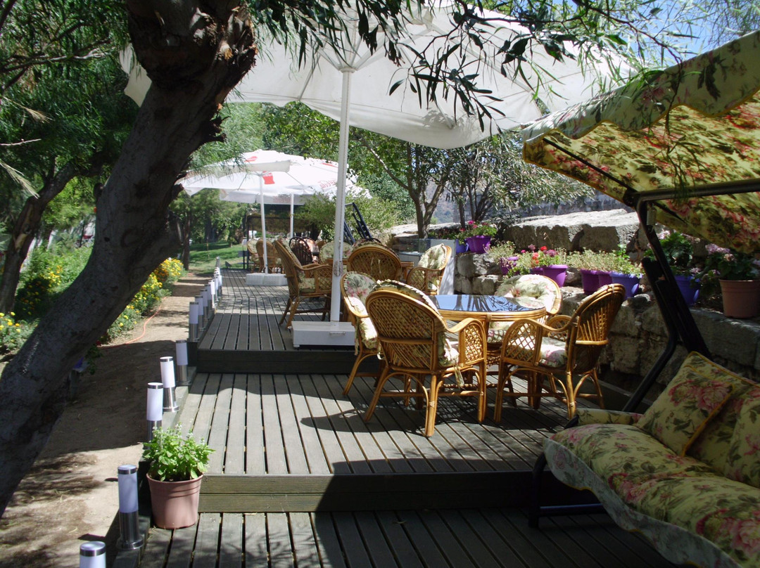 达格贝伦餐馆和美食-Sultan Cafe