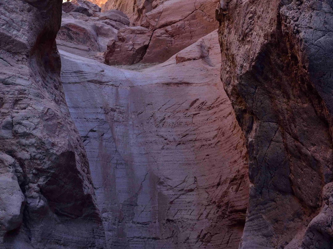 Sara Park-哈瓦苏湖城必去景点