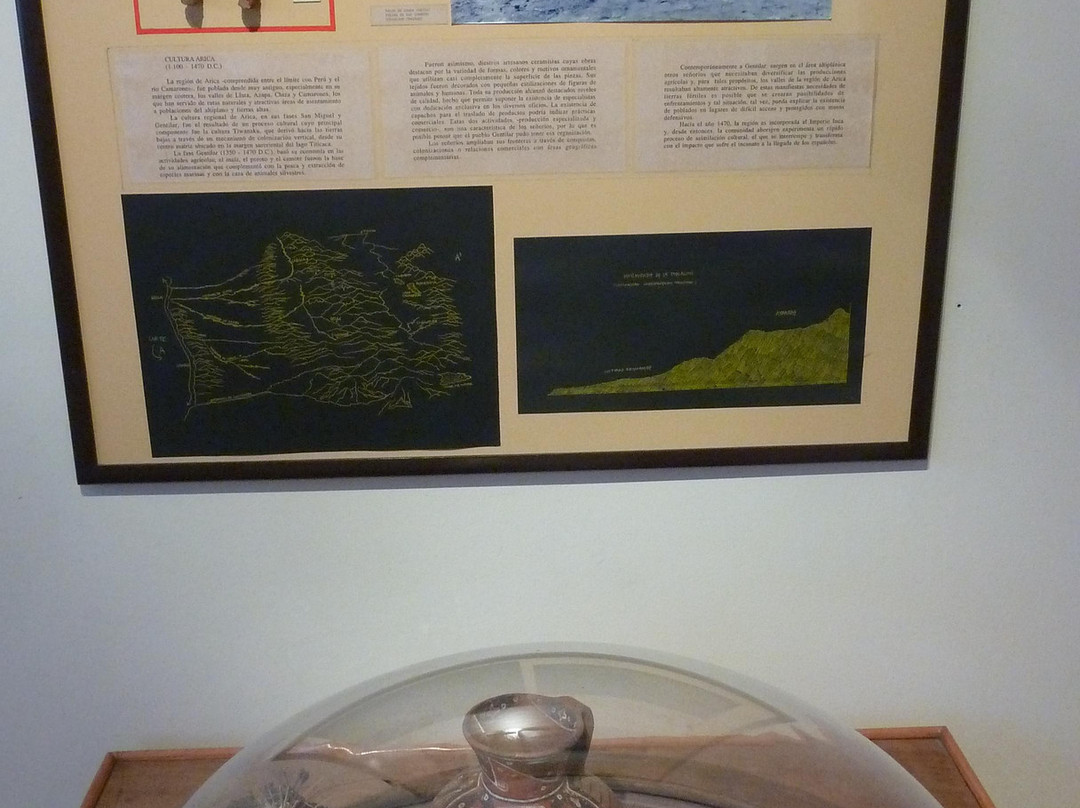 Museo Arqueológico de La Serena-拉塞雷纳必去景点