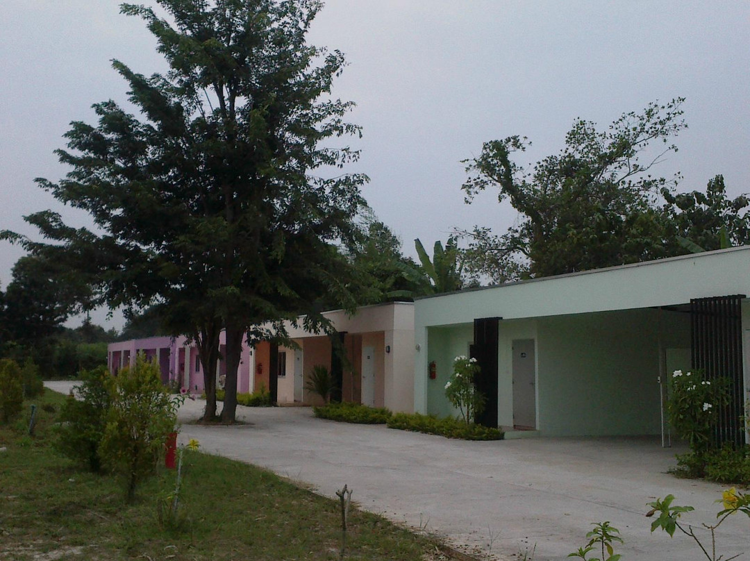 Fern Fern Resort