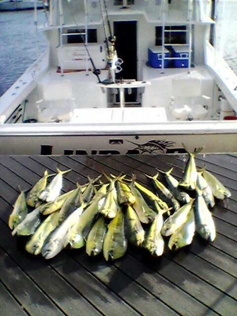 Linda D Sportfishing-基韦斯特必去景点