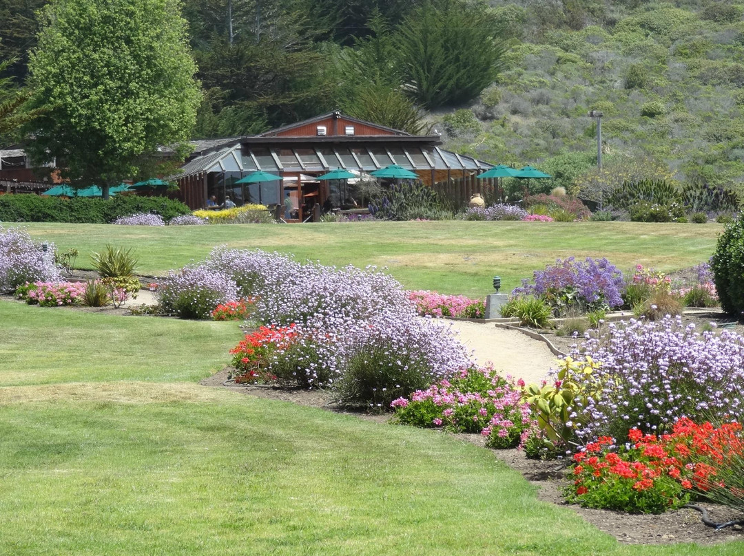 Ragged Point-大苏尔必去景点