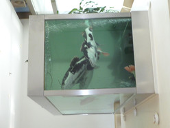 Gallery 3