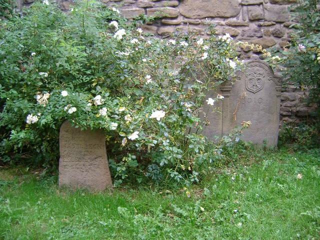 St. Georgs-Kirche.-哈廷根必去景点