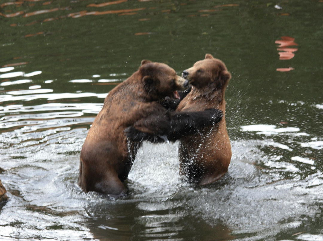 Fortress of the Bear-锡特卡必去景点