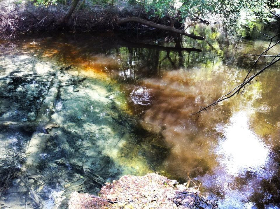 Ponce de Leon Springs State Park景点图片