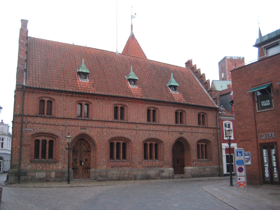 Det Gamle Radhus景点图片