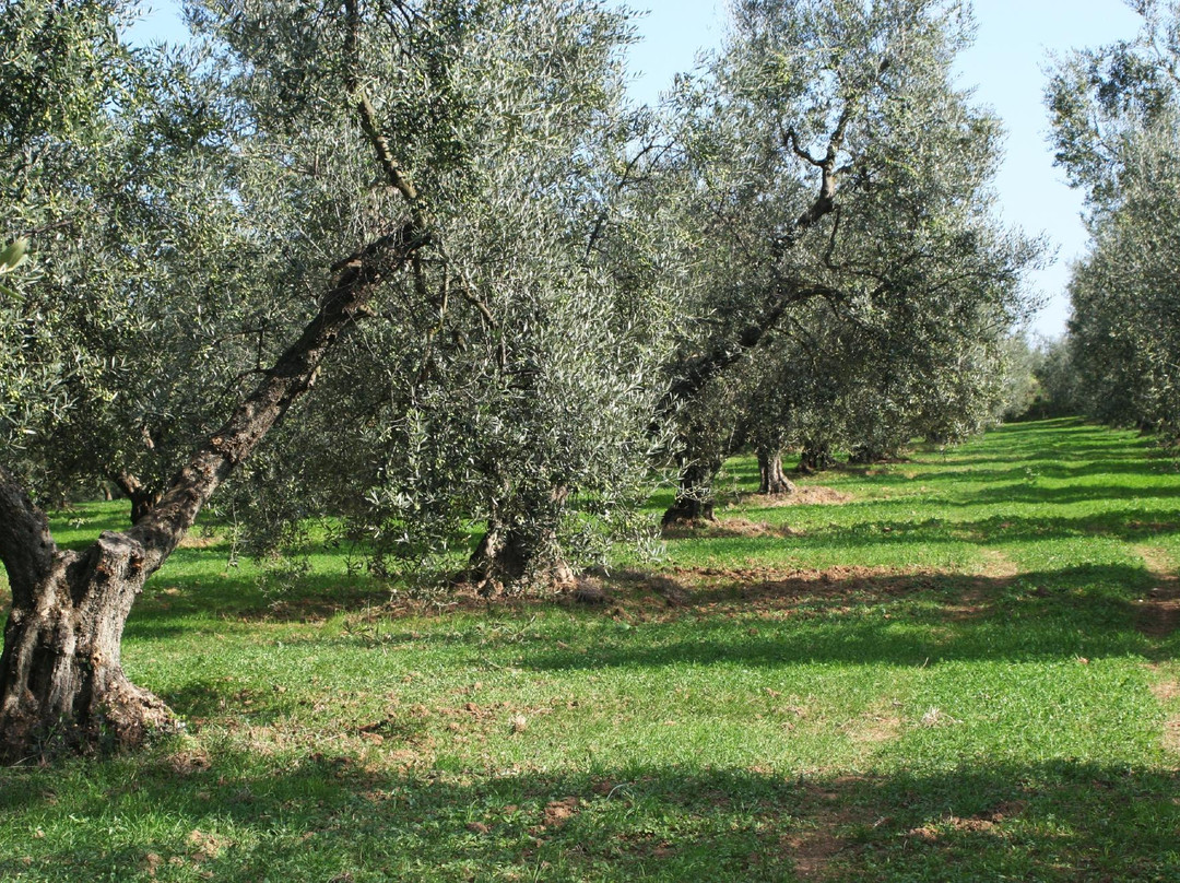 Olio Mezzabarba-Farnese必去景点