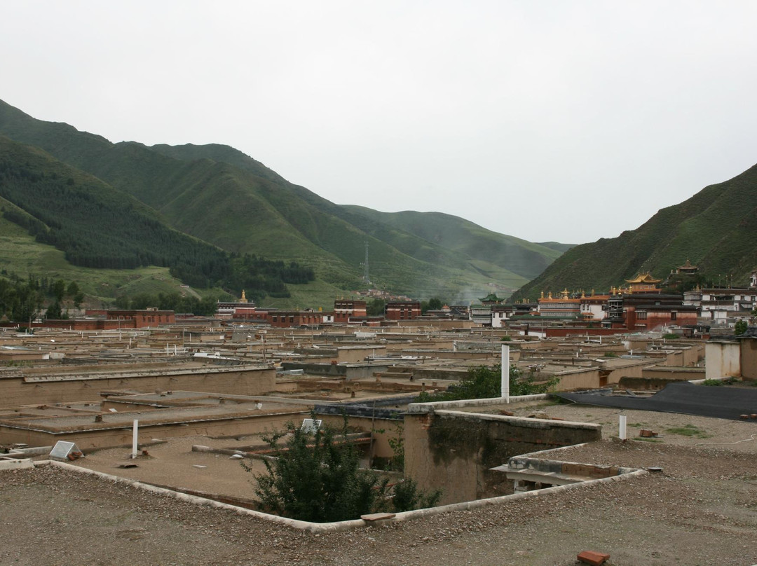 拉卜楞寺景点图片