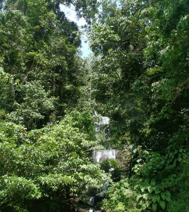 Bukit Lawang Holiday-武吉拉旺必去景点