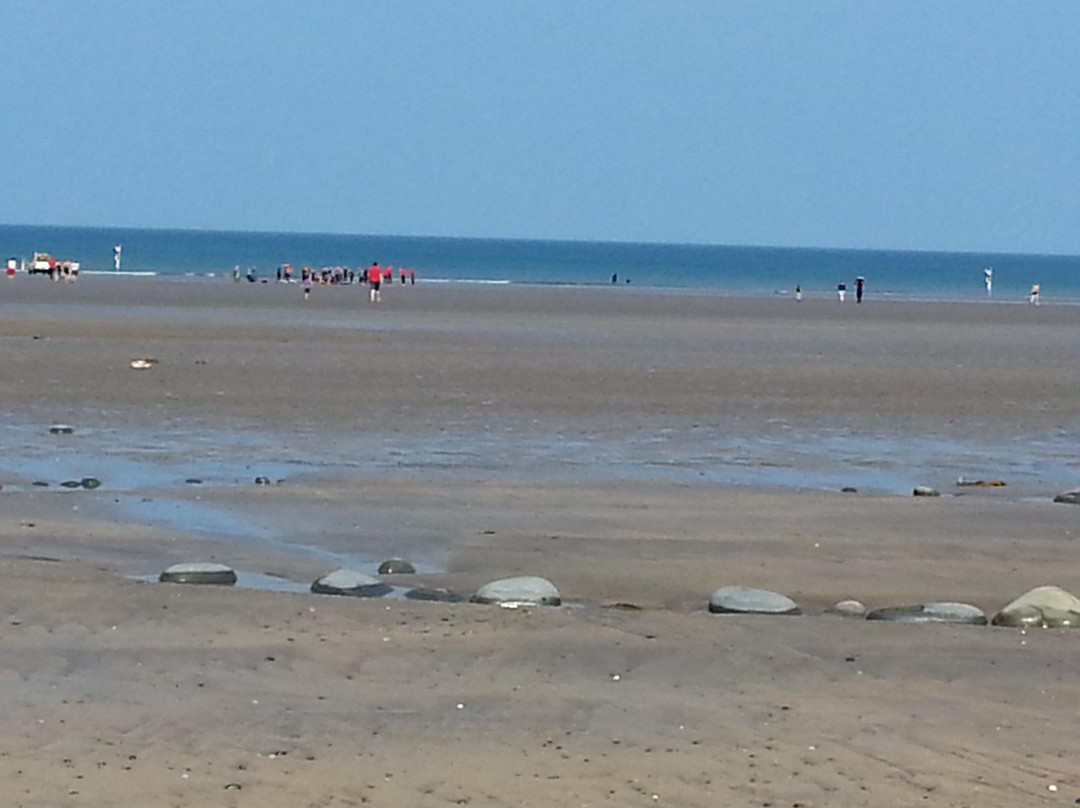 Westward Ho Beach景点图片