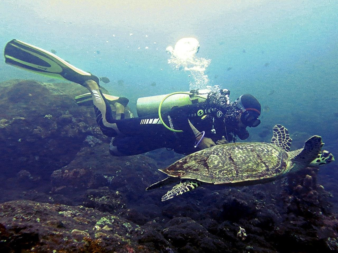 Bali Scuba Course-图兰本必去景点