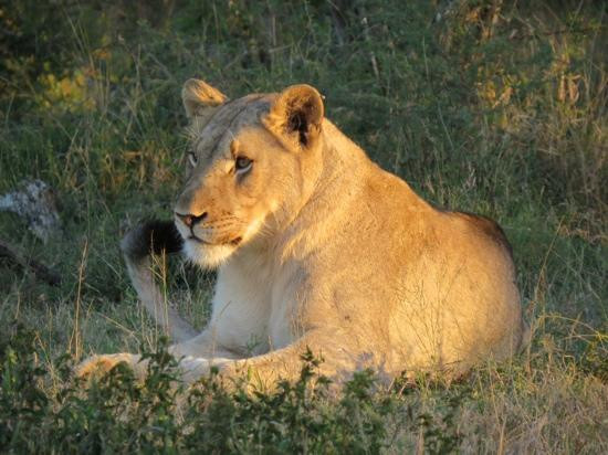 Heritage Tours & Safaris-圣露西亚必去景点