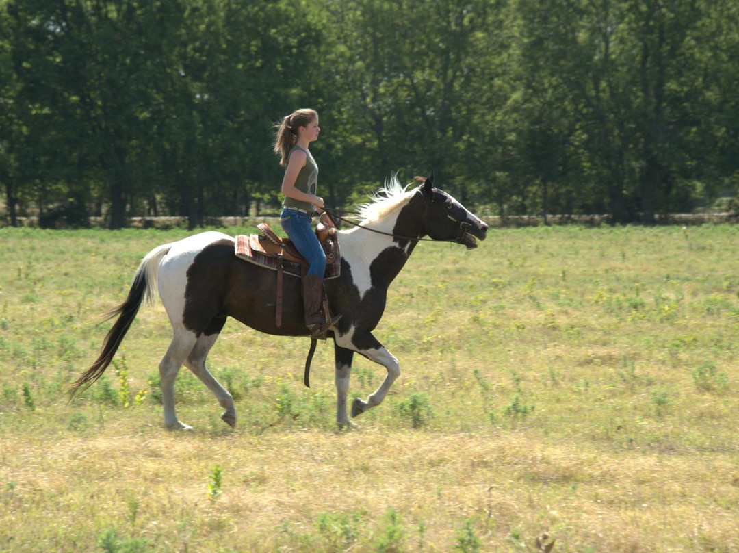 Sleepy Sheep Ranch-Whitewright必去景点