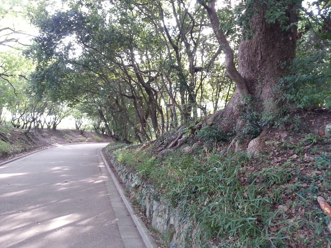 和歌山城-和歌山市必去景点