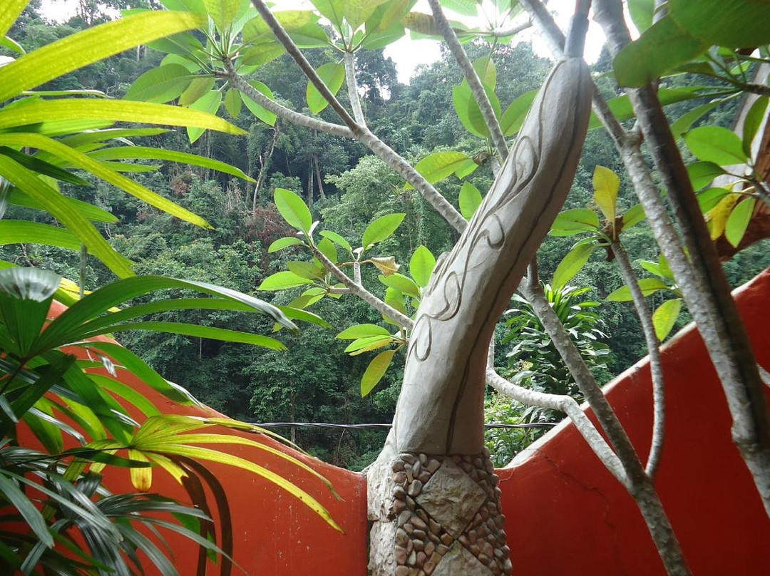 Harimau Sumatra-武吉拉旺必去景点