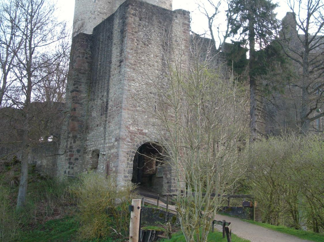 Adler und Wolfspark-Pelm必去景点