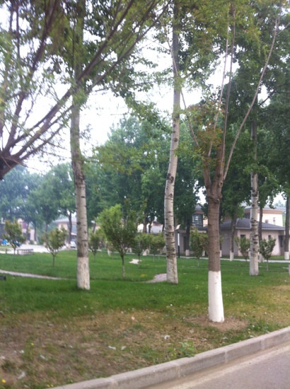 中国石油国际化人才培训中心主图