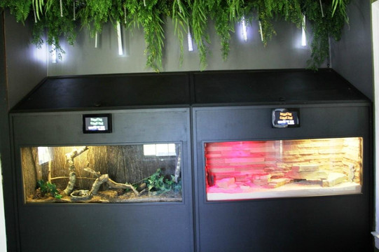 The John C. Freeman Weather Museum-休斯顿必去景点