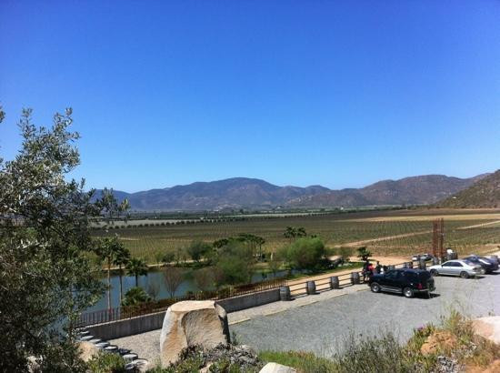 Monte Xanic Bodega Vinícola-Valle de Guadalupe必去景点