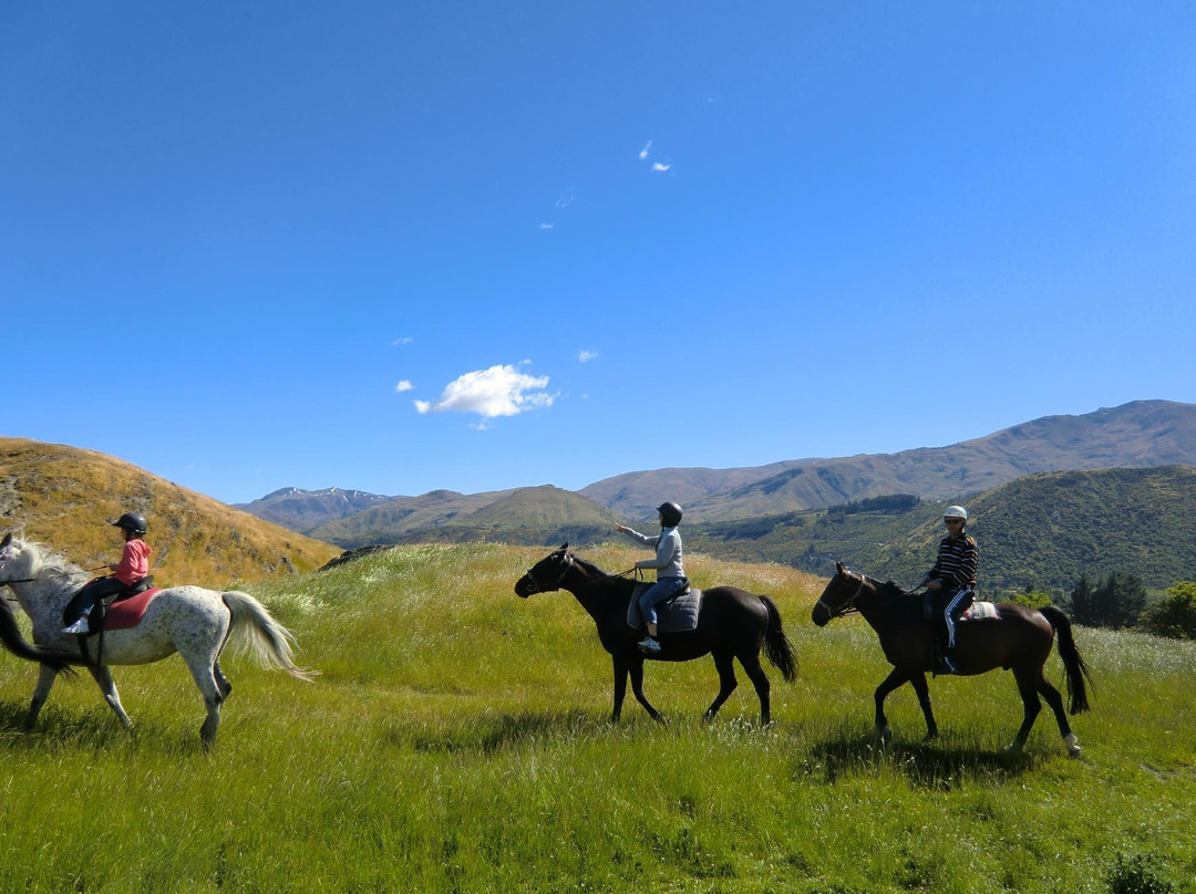月光马厩-皇后镇必去景点