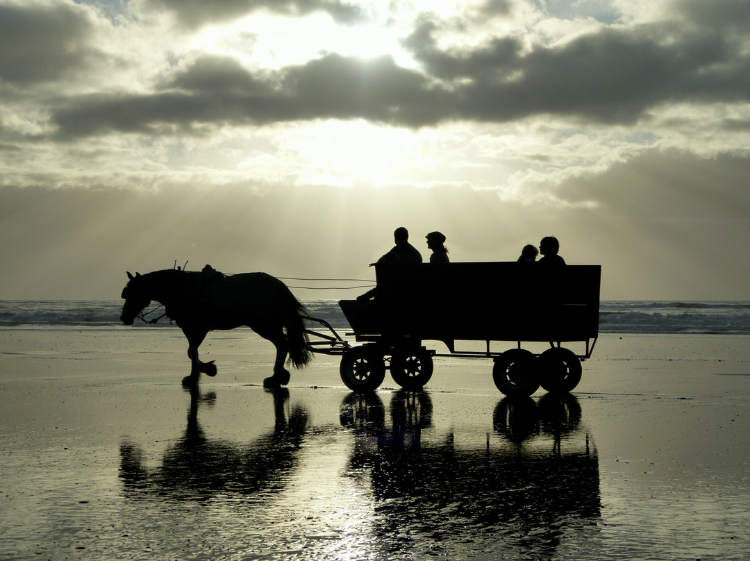 Golden Sands Horse and Wagon Tours景点图片