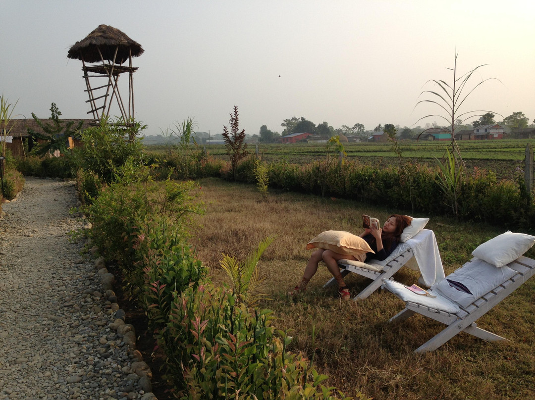Chitwan Bamboo Lodge