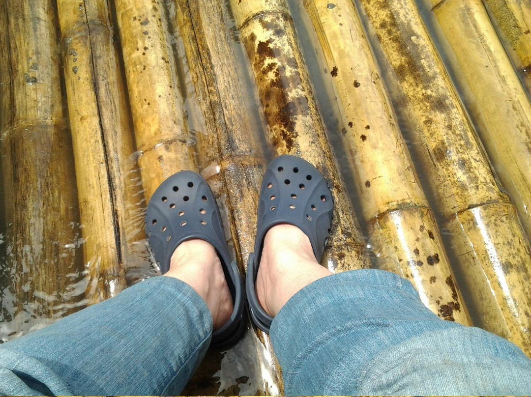 Casa Vieja Cafe y Balsaje-Quimbaya必去景点