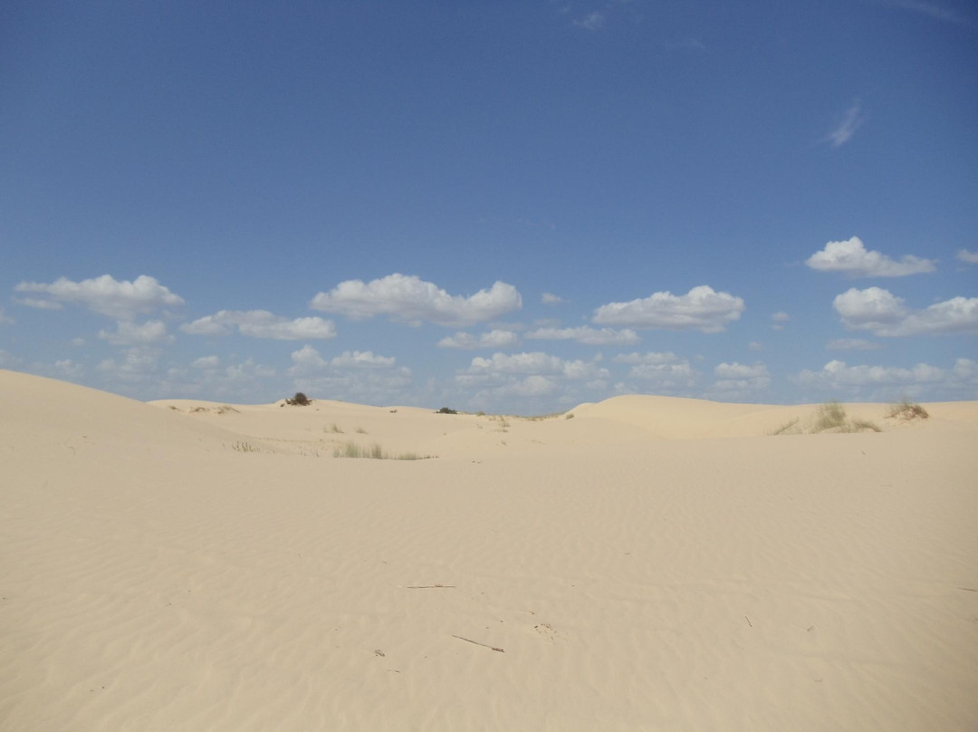 Monahans Sandhills State Park-Monahans必去景点