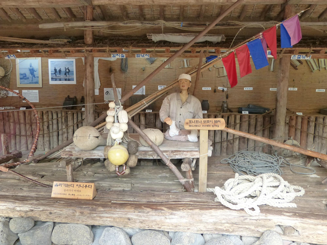 济州民俗自然历史博物馆-济州必去景点