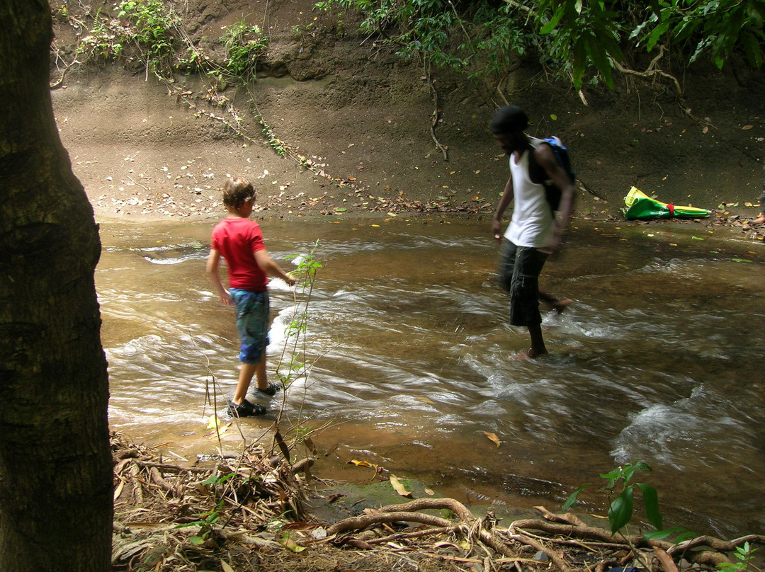 Royal Mount Carmel Falls-格林纳达必去景点