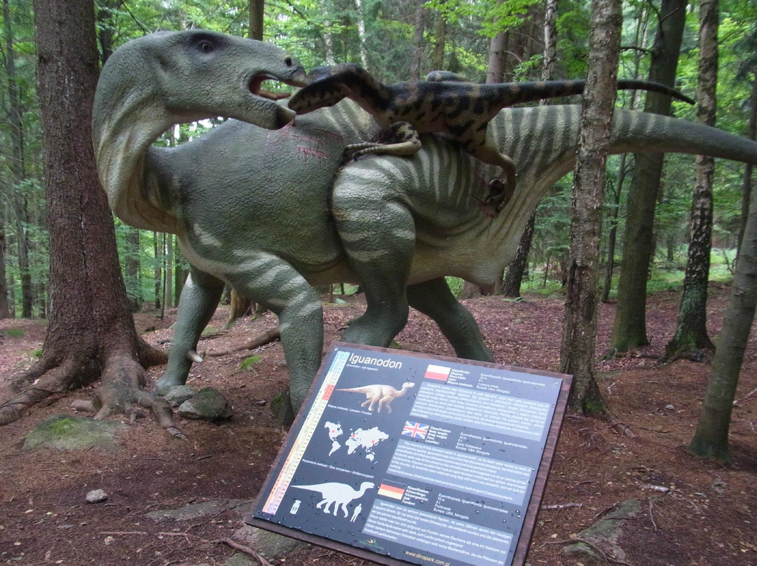 Dinosaur Park景点图片