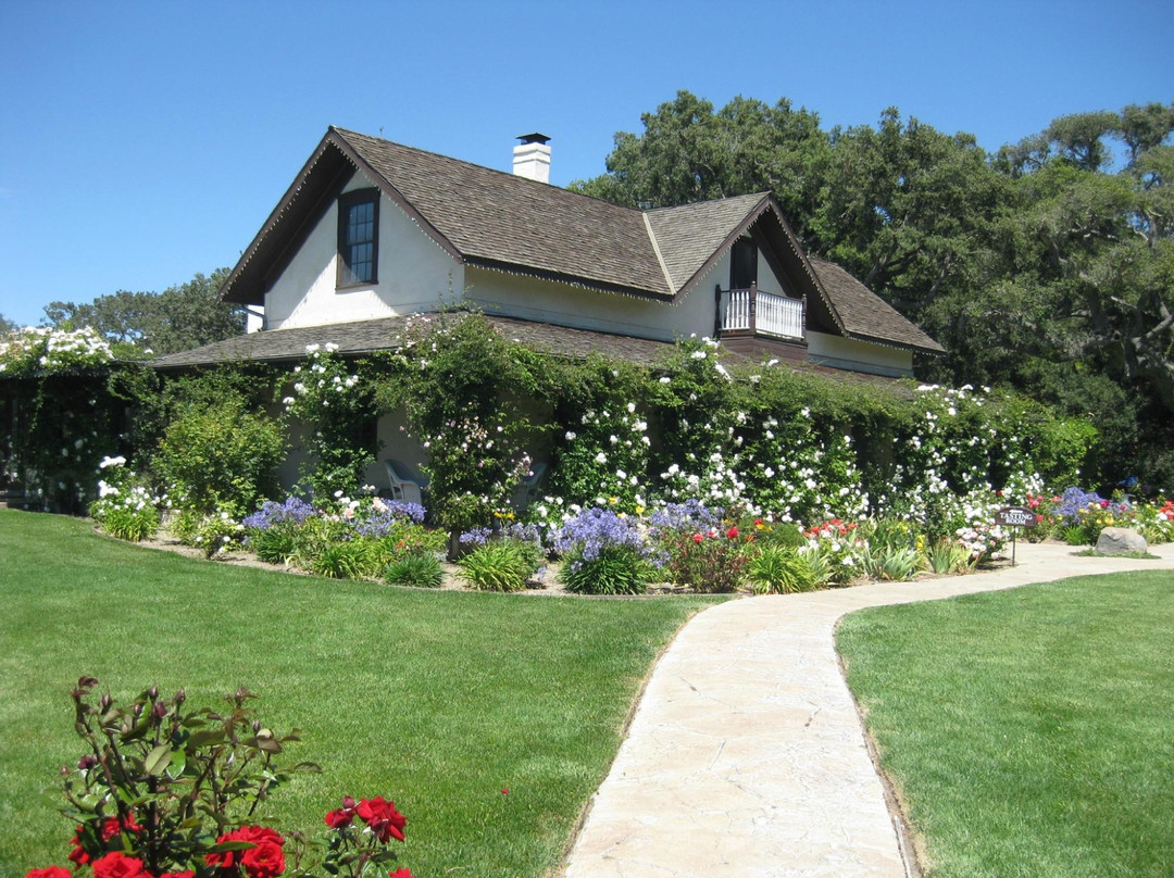 丽都葡萄园-索尔万必去景点