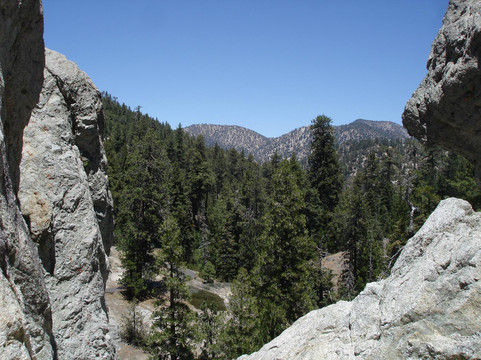 洛杉矶国家森林-阿卡迪亚必去景点