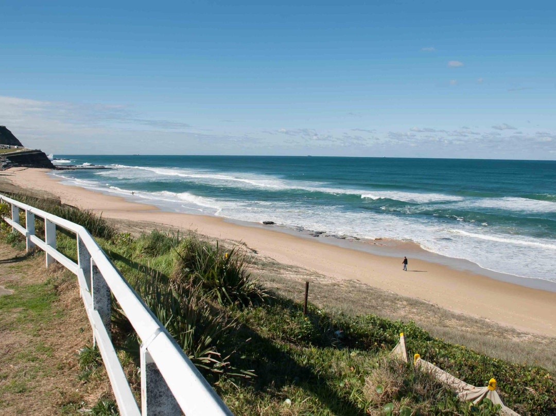 Dixon Park Beach-纽卡斯尔必去景点