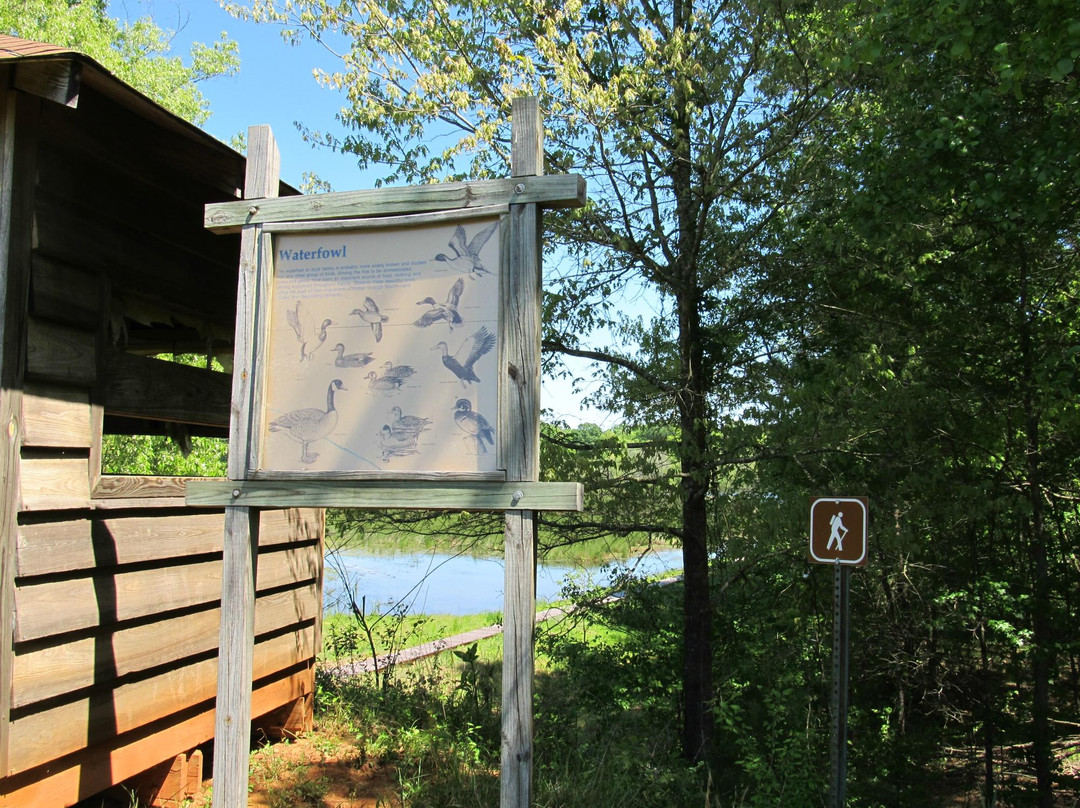 Pee Dee National Wildlife Refuge景点图片