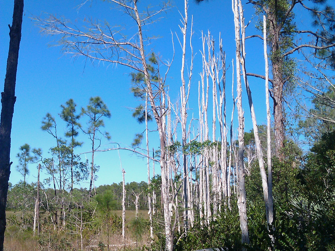 Apoxee Wilderness Trail景点图片