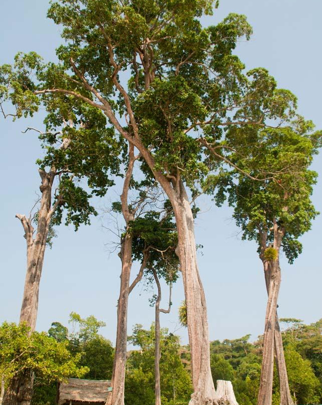 Chidiya Tapu-布莱尔港必去景点