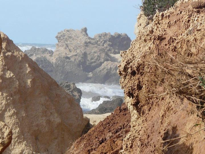 HaSharon Park-Hadera必去景点