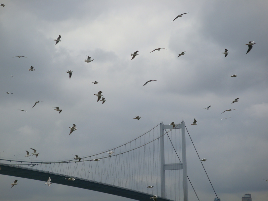 Bosphorus Bridge-伊斯坦布尔必去景点