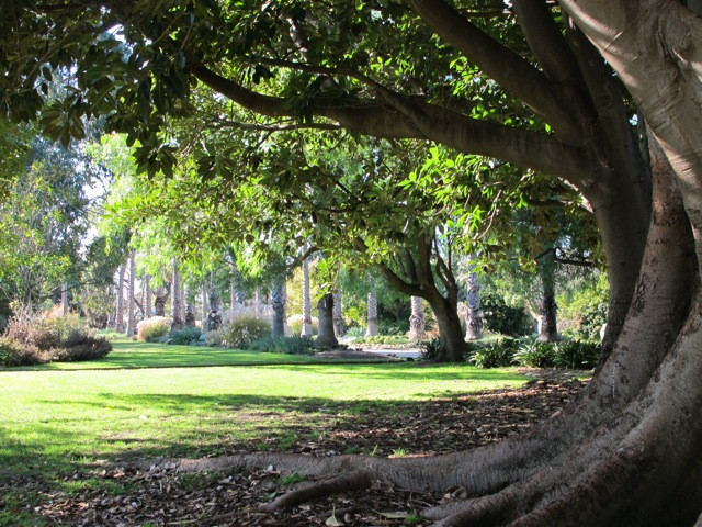 Williamstown Botanic Gardens景点图片