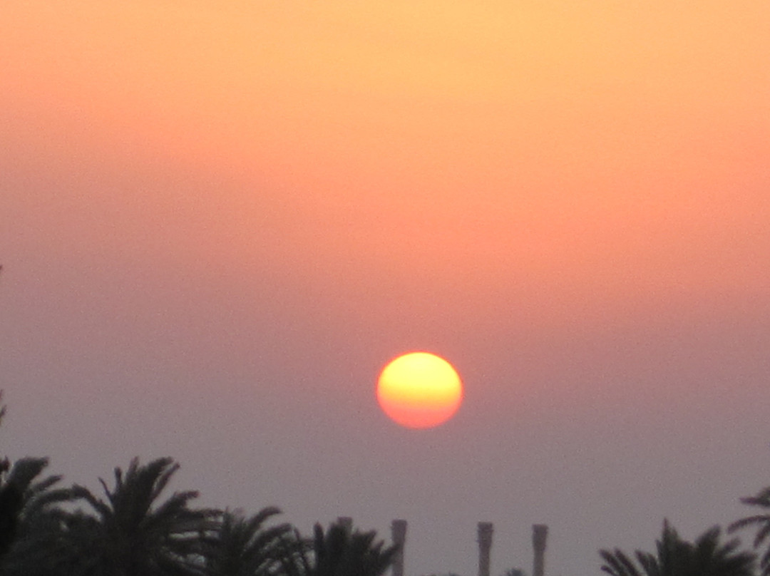 Site of Palmyra-巴尔米拉必去景点