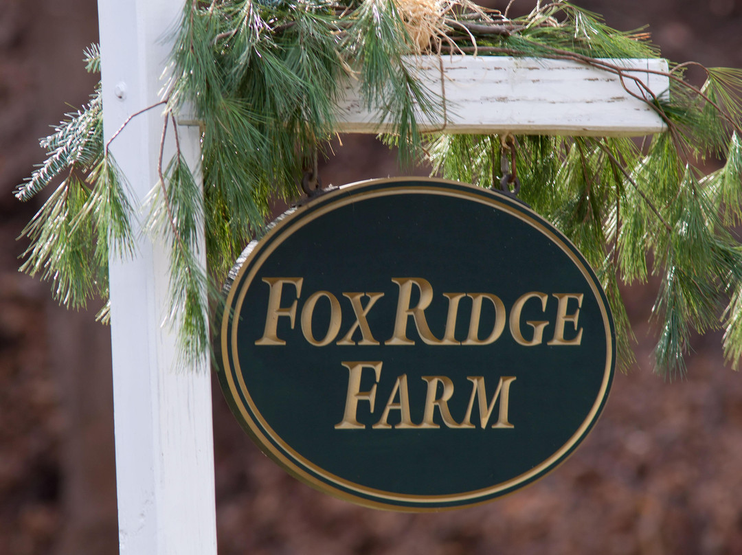 Fox Ridge Bed and Breakfast主图