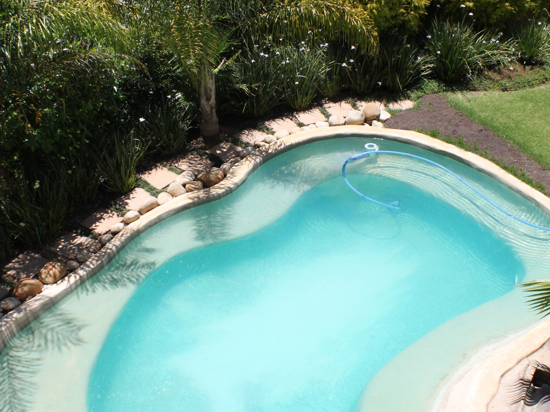 Aan de Paarlberg主图