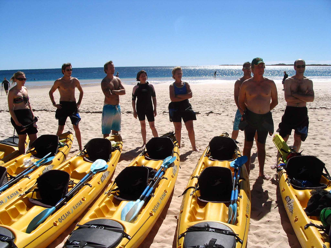 Ningaloo Kayak Adventures-珊瑚湾必去景点