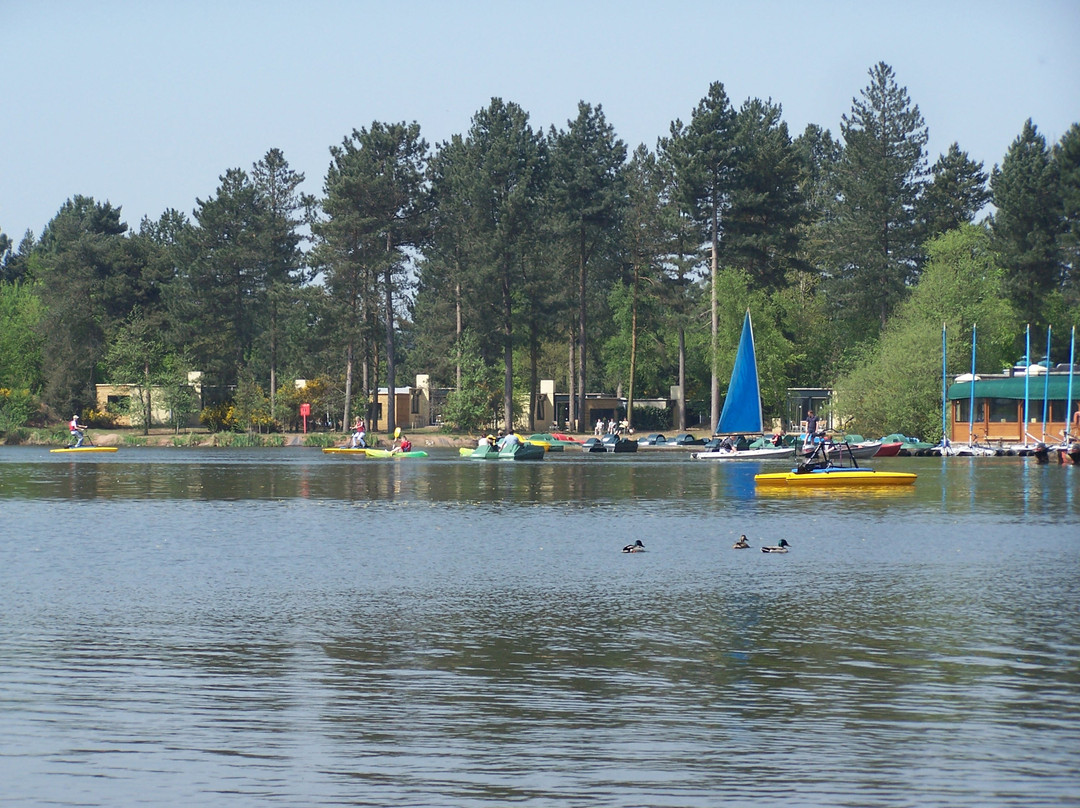 Rufford旅游攻略图片