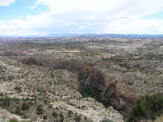 Calf Creek Falls Recreation Area景点图片
