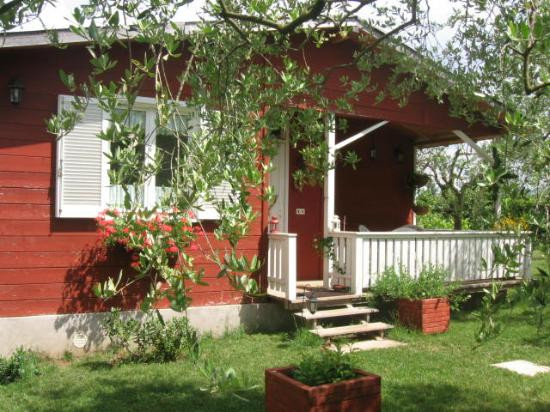 San Cesareo酒店住宿-Olive Tree Hill B&B