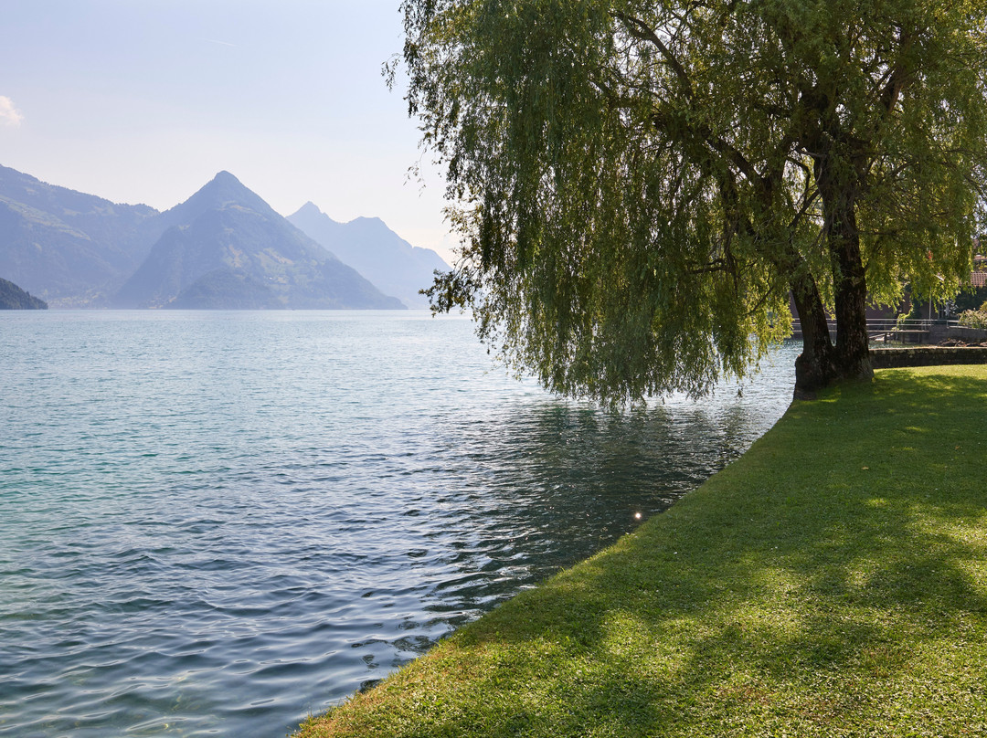 Tcs Camping Buochs Vierwaldstättersee