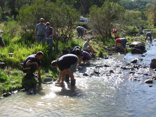 Bullock Mountain Homestead主图
